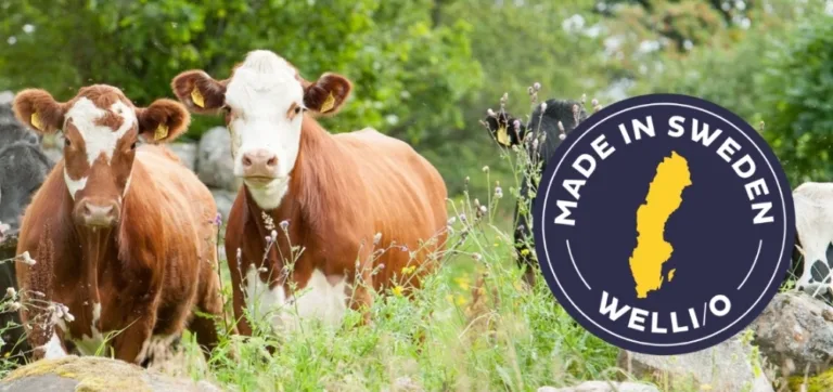Om WELLIO
